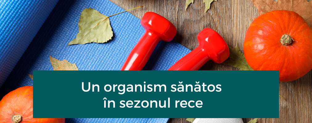 Pregătește-ți organismul pentru sezonul rece